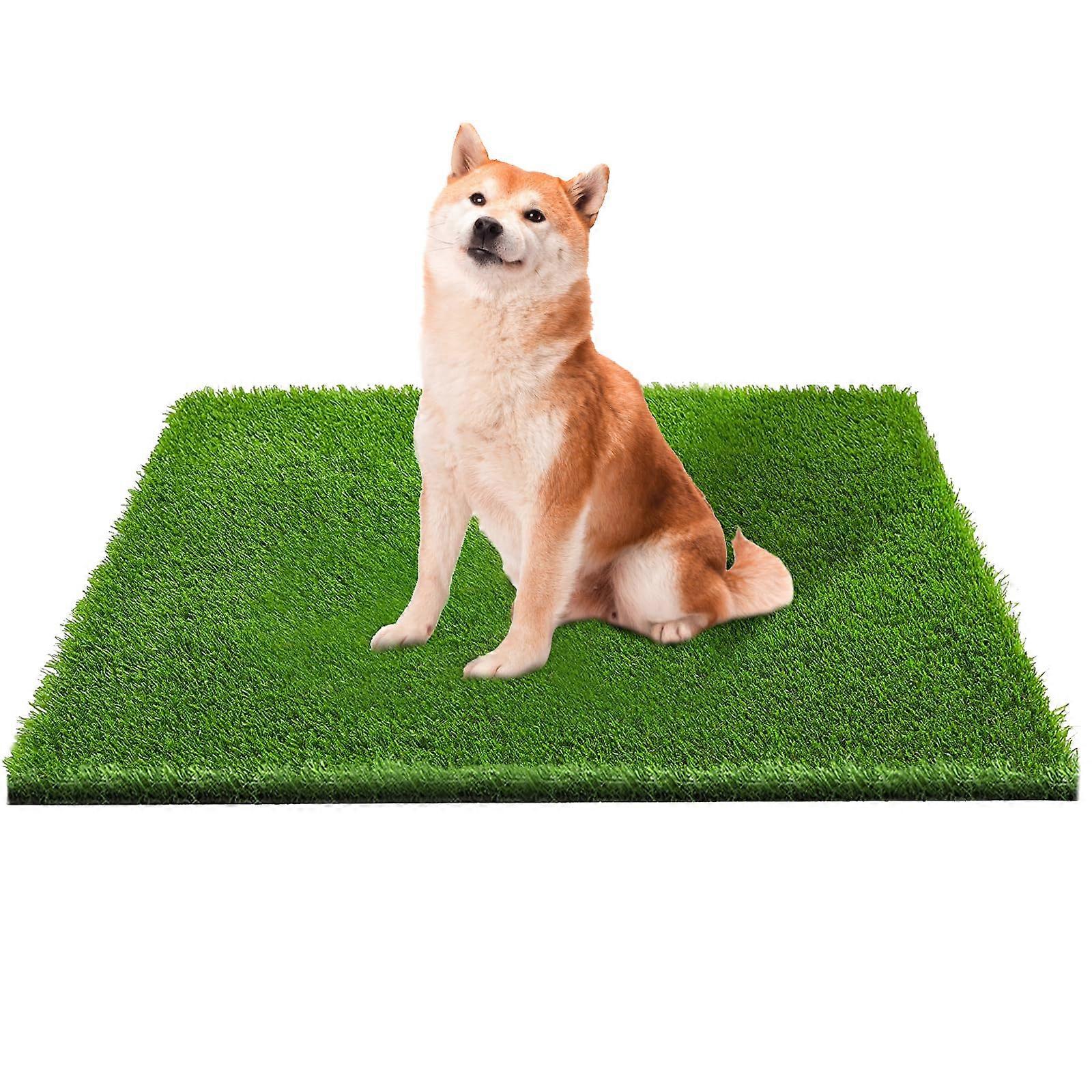Artificial Grass, Professional Dog Grass Mat, Potty Training Carpet, Easy to Clean with Drainage Holes