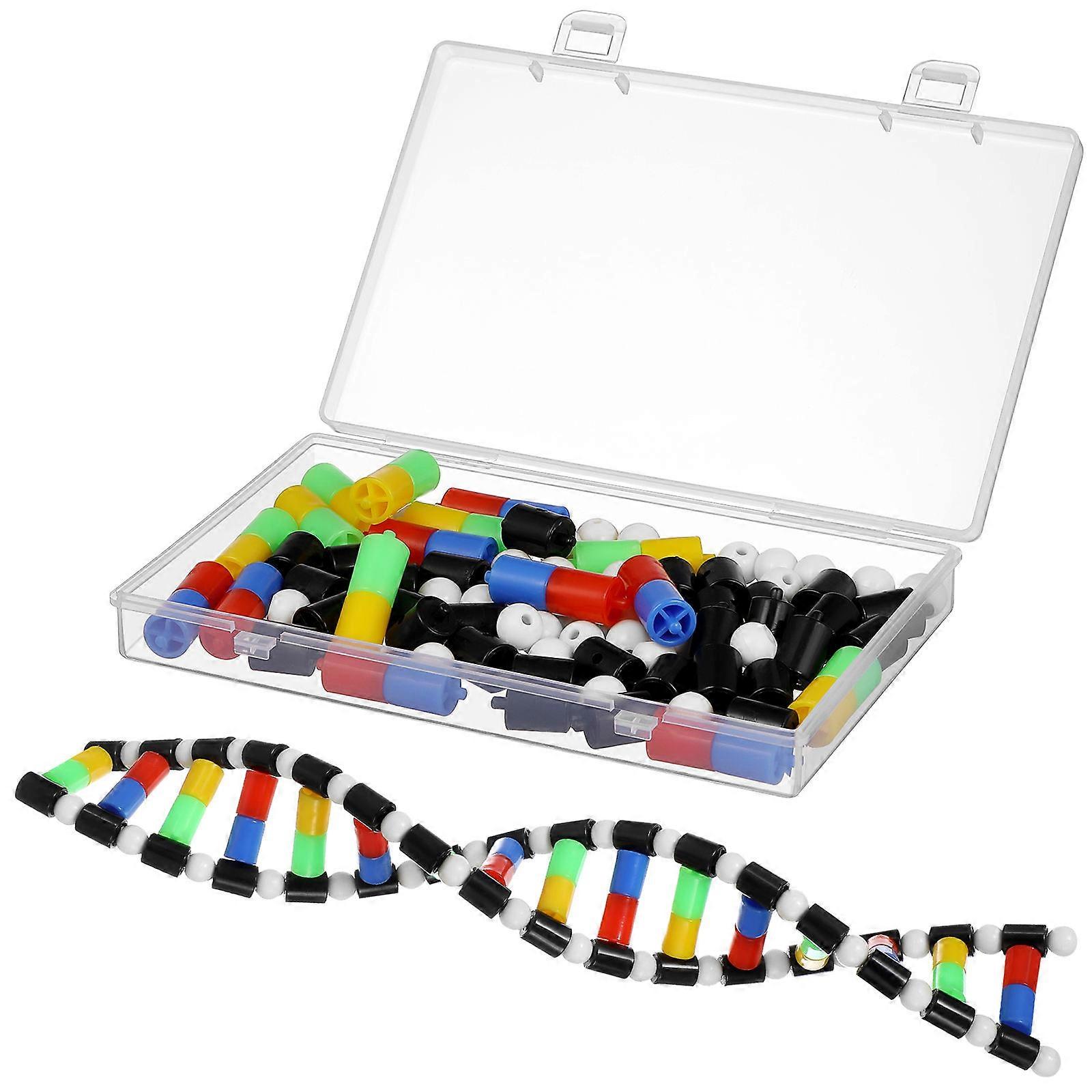 DNA Double Helix Model Components for Science Education – Removable Molecular Structure Display, Safe Materials for Biology Teaching and Student