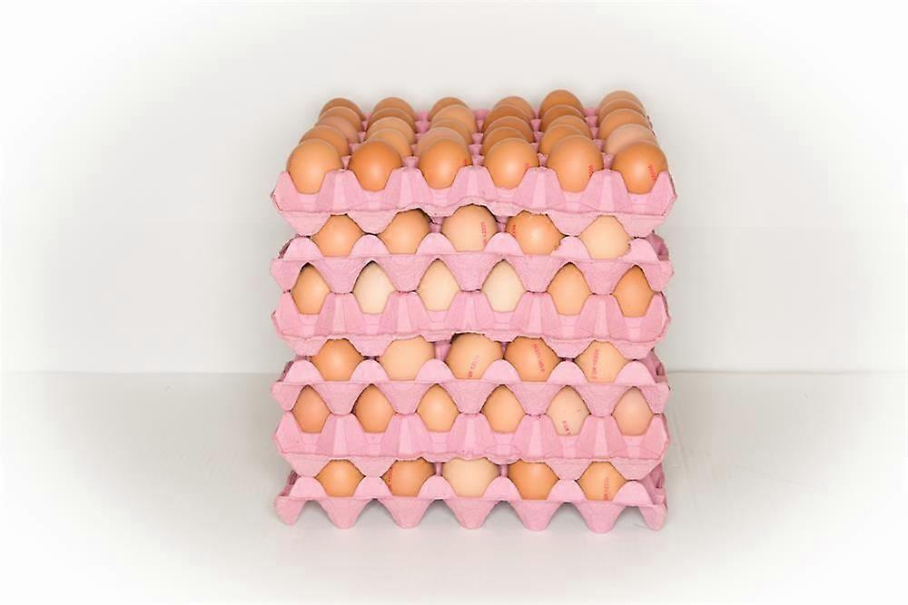 Rookery Farm Org Medium Eggs x180 (6 trays of 30) - 2 Pack