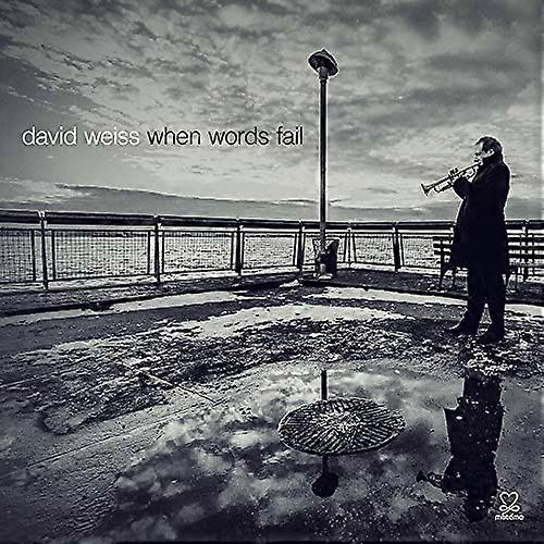 David Weiss - When Words Fail [CD]