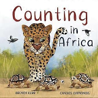 Compter en Afrique