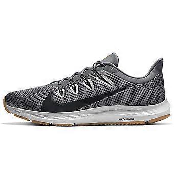 Nike Quest 2 'Smoke Grey Gum' CI3787-009