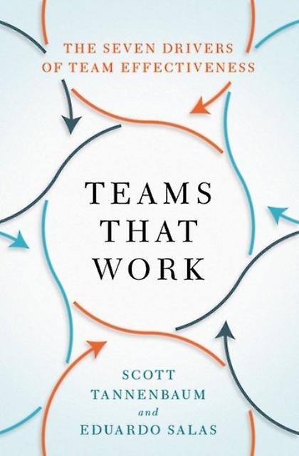Teams, die funktionieren von Scott Tannenbaum Taschenbuch