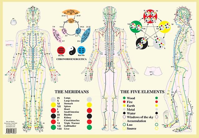 Meridians Five Elements A2 by Jan van Baarle Paperback Book