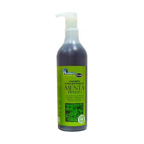 Piperita Mint Shampoo 1 L (Mint)