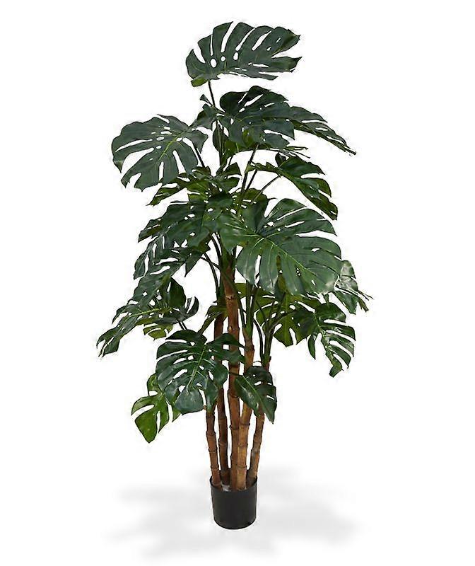 Monstera (180 cm)