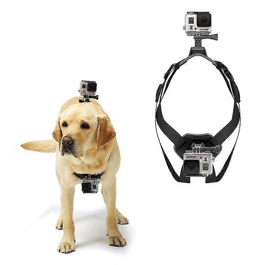 Fetch Dog Harness Chest Shoulder Strap Belt Mount for GoPro Hero 4/3+/3/2/1 SJ4000/5000/6000