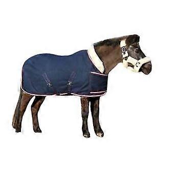 Showtime Harry And Hector Horse Rug