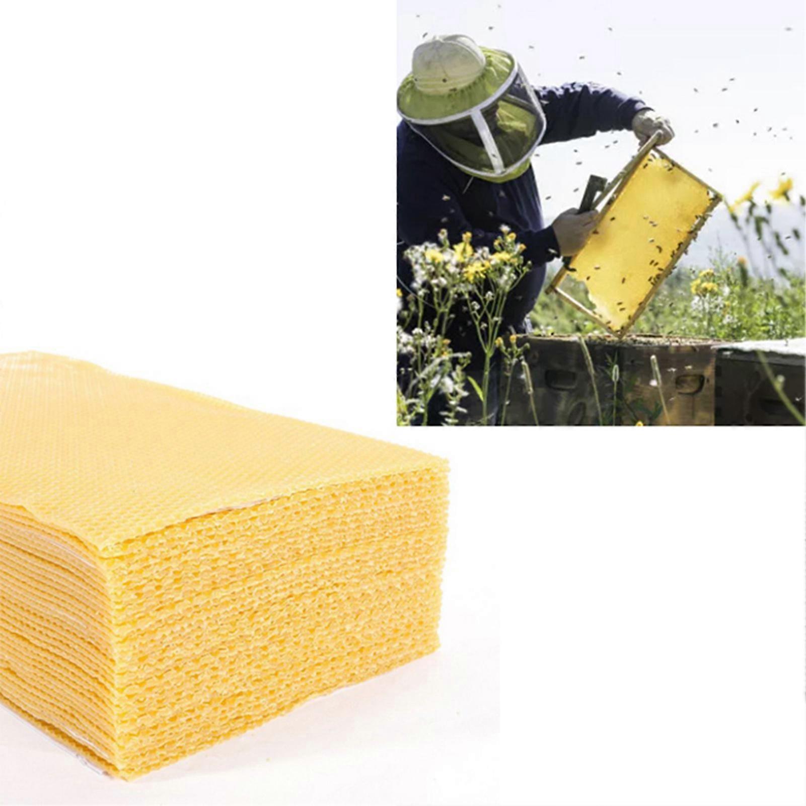 10 x Beeswax Sheets for Candle Making Beekeeping - Natural Honeycomb Foundation Kit