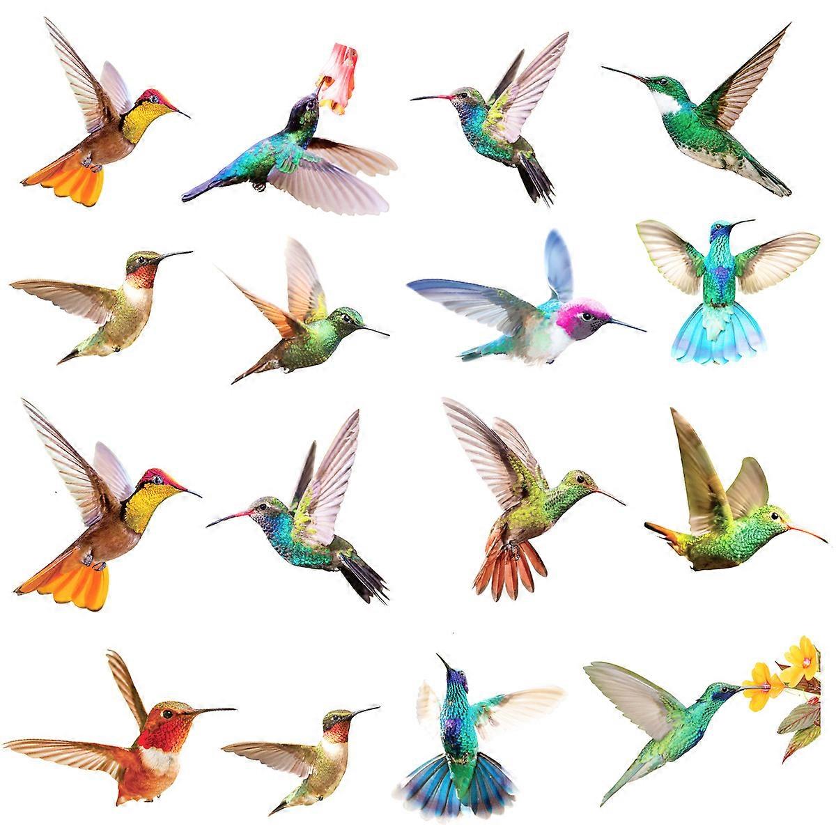 Decorative Hummingbird Window Clings, Non Adhesive Vinyl Double Side Printed Anti-Collision Decals, Easy Reusable Application for Glass Windows Doors