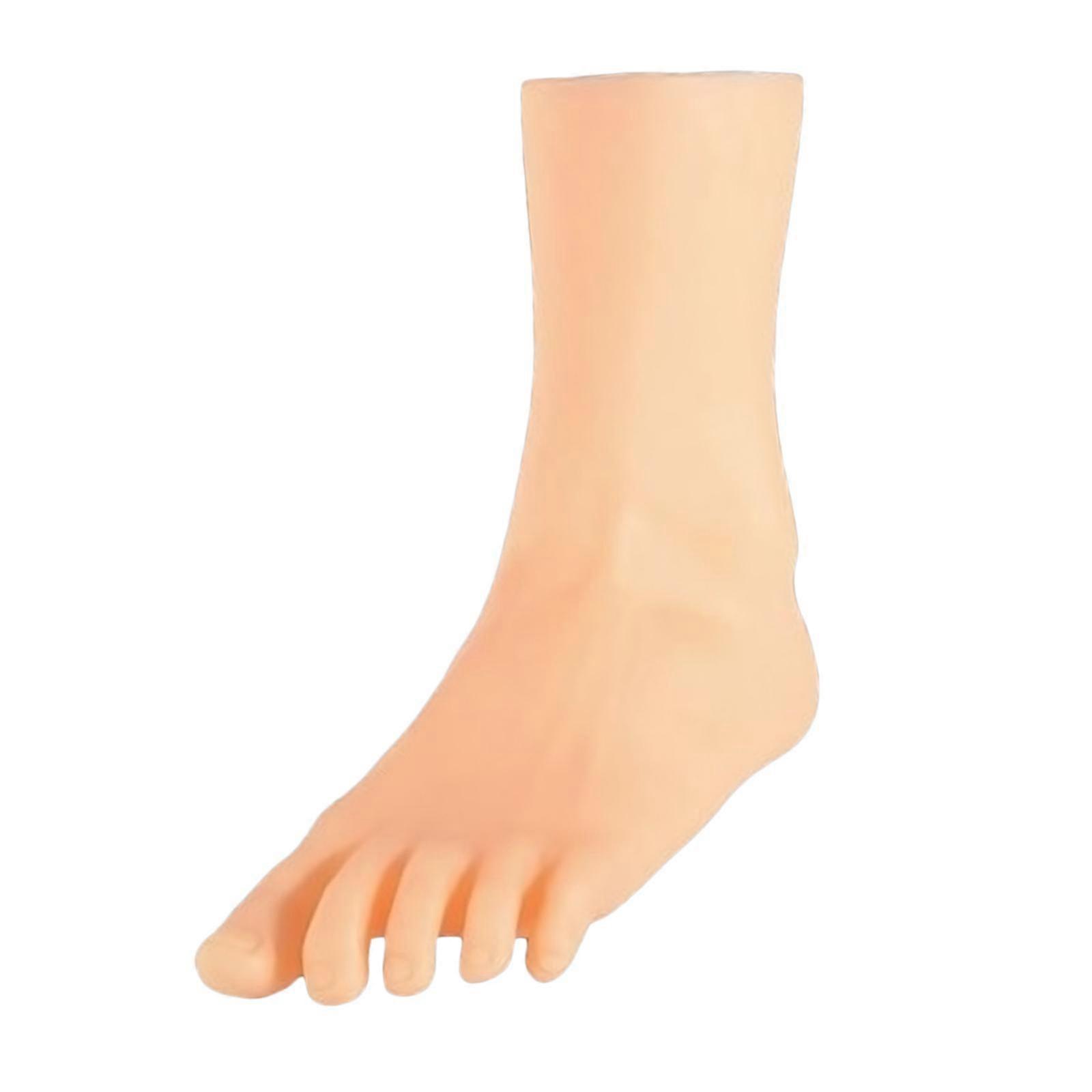 Mannequin Foot Lifelike Adult Feet for Display Ankle Bracelet