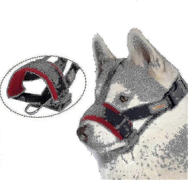 Myk mesh pustende snute for hunder - Anti-biting og bjeffing sikker design