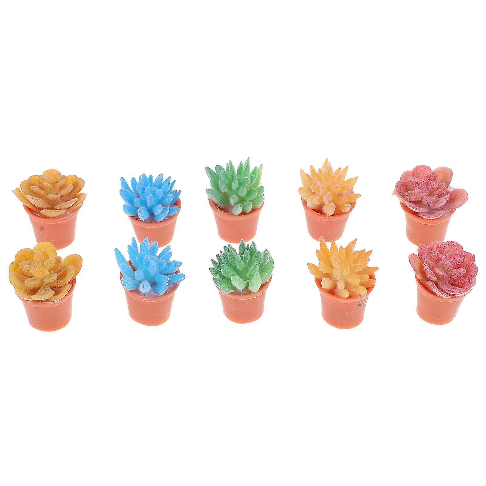 Creative仿真Plants for Building Stunning Miniature Gardens