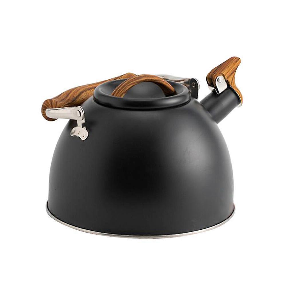 Household Kettle Portable Water Boiling Kettle with 2Pcs