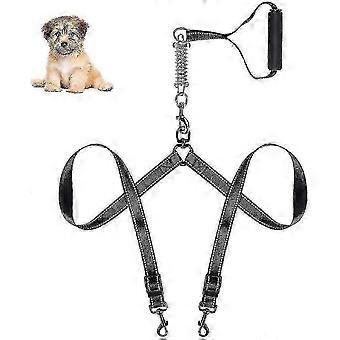 Laisse réglable double pour chien