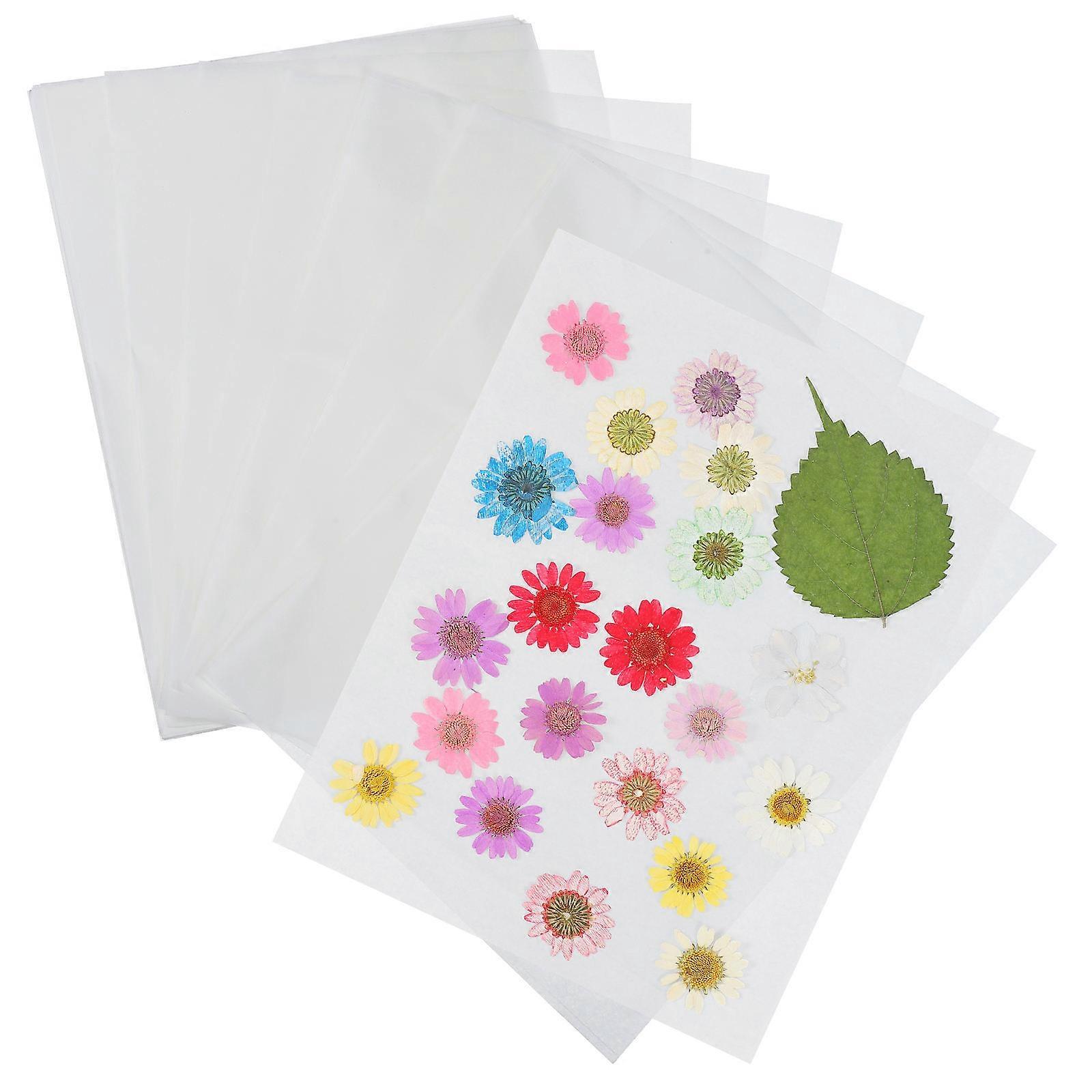 30 st blompresspapper växter provpresspapper refill foderpapper läskpapper