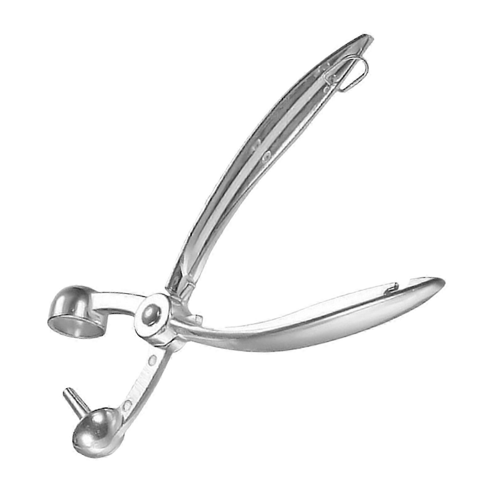 Fruit Cherry and Olive Pitter