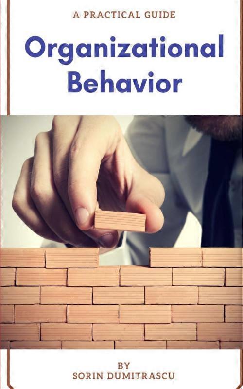 Organizational Behavior A Practical Guide
