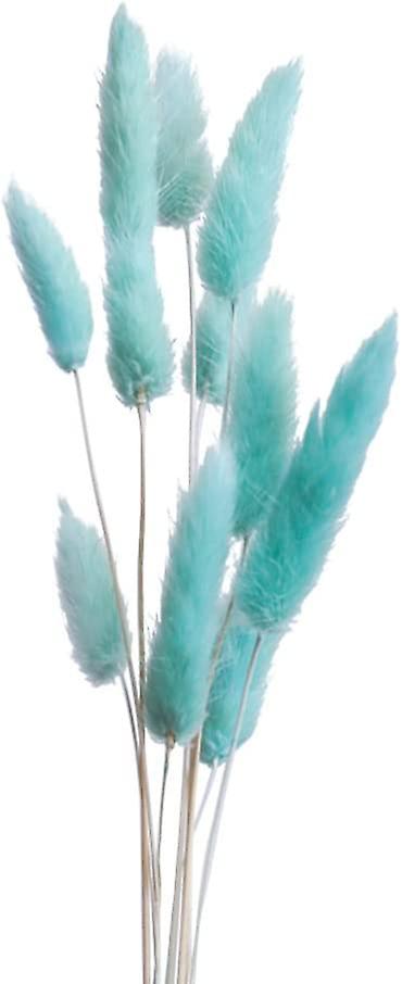 Dried Rabbit Tail Grass Bunch Dried Flower Bunch Grass (Blue)
