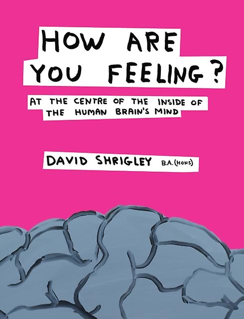 How Are You Feeling by David Shrigley Hardback Book