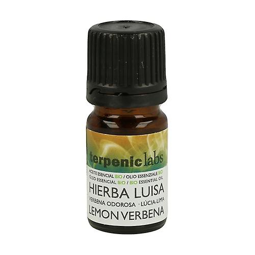 Organic Hierbaluisa Essential Oil 5 ml of essential oil
