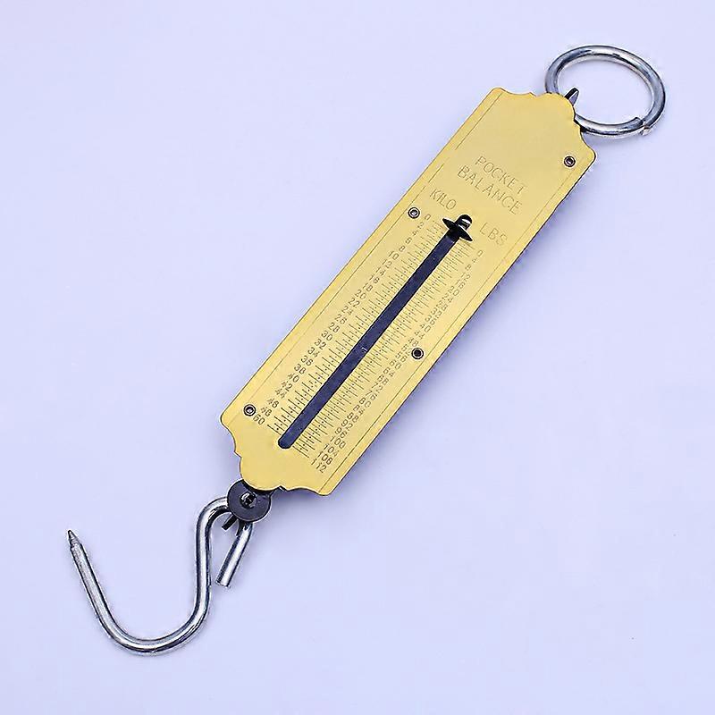 25kg spring scale