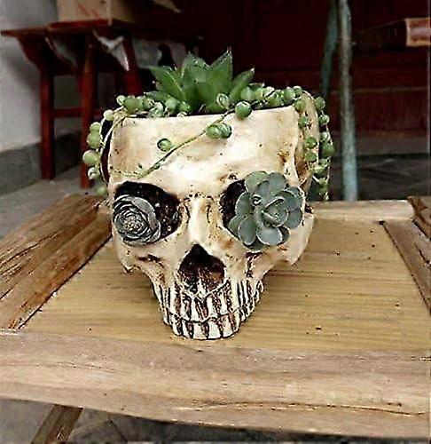 Halloween Decorative Skull Planter Crafted from Durable Resin