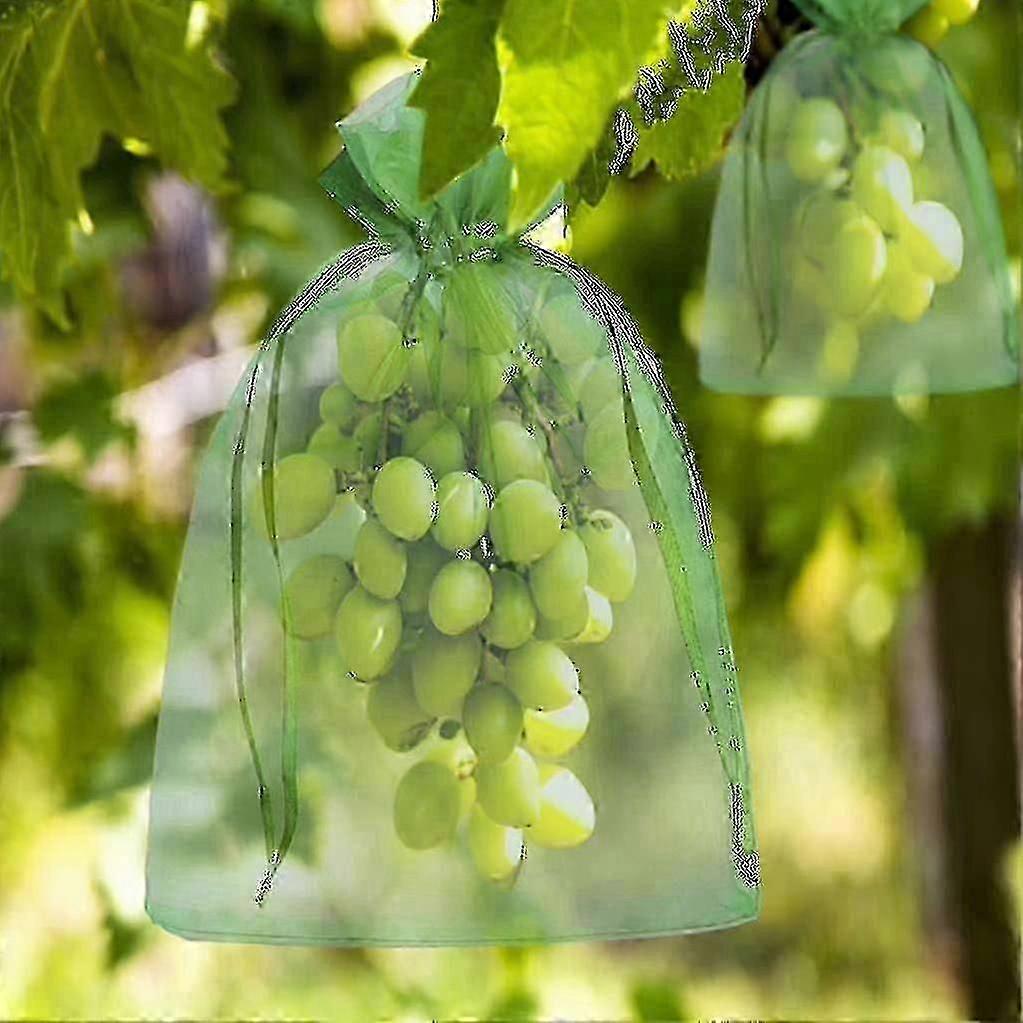 100pcs حفنة حقيبة حماية 23x17cm العنب الفاكهة الأورجانزا حقيبة مع الرباط يعطي