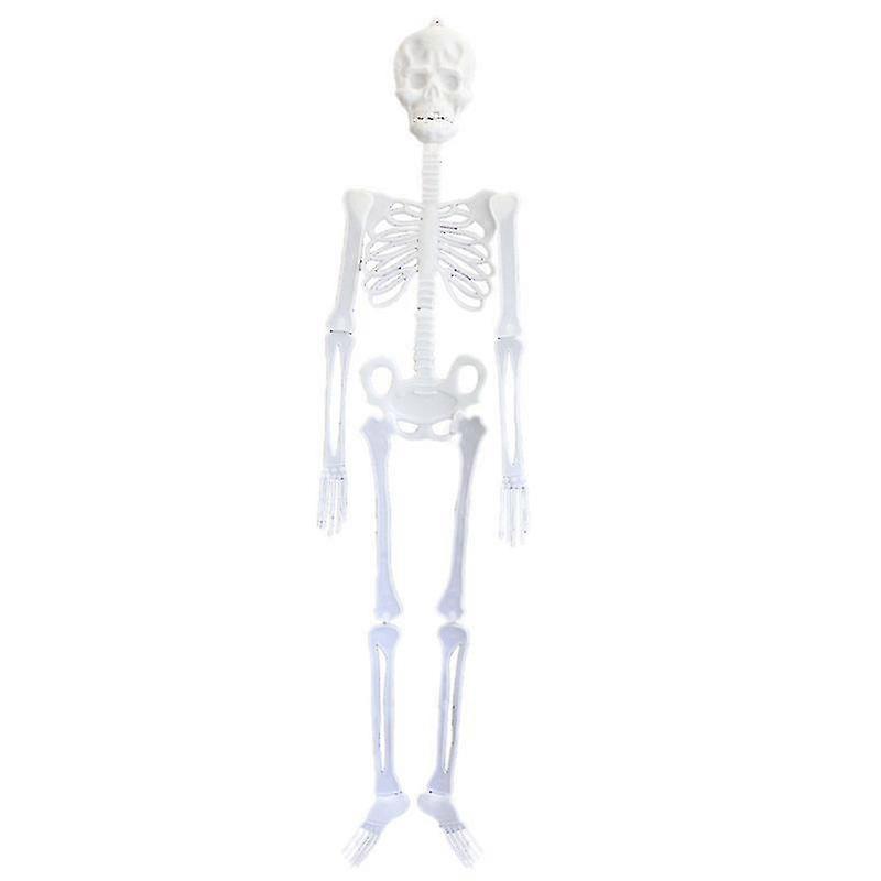 Skeleton Full Size Poseable Human Halloween Decoration