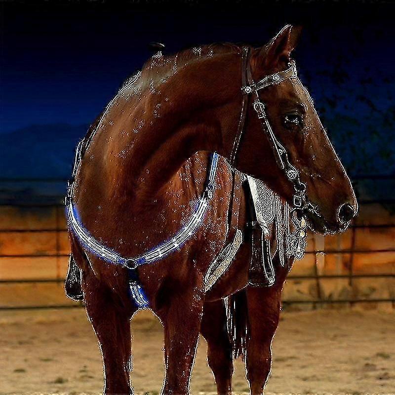 Blå Dual Led Hest Brystplade Nylon Webbing Nat Synlig Hestevæddeløb Ridesport