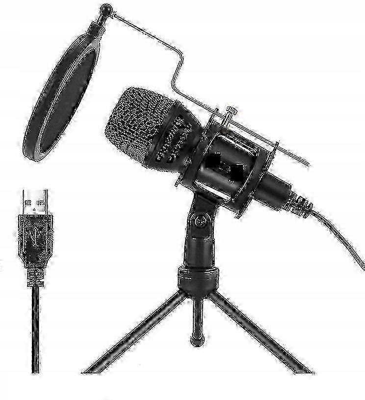 2025 Usb Live Microphone