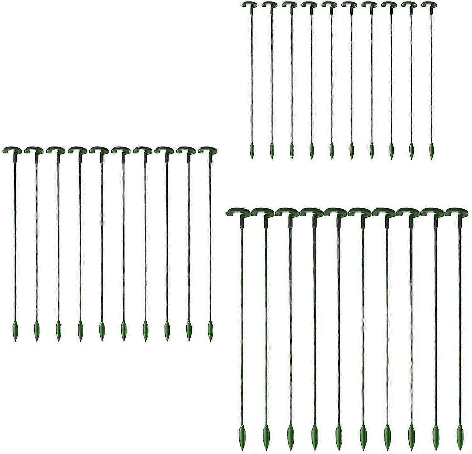 30 حزمة حديقة النباتات ستيكس، سيقان واحدة، زهور ستيكس، السحلبية، الفاوانيا، زنبق، روز