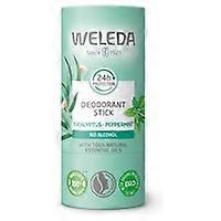 Eucalyptus deodorant stick 50 g (Eucalyptus)
