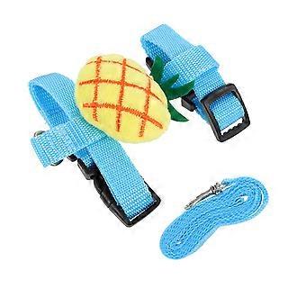 Cat Harness Leash Summer Cat Harness Kit 1Set Durable for Cats