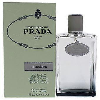 Prada Infusion Diris Cedre By Prada For Women - 6.8 Oz Edp Spray