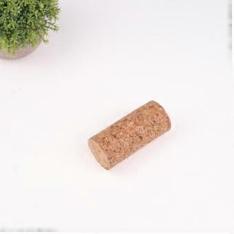 Ramo in legno morbido per rettili, giocattolo in legno, decorazione per terrario, supporto per rettili, "albero" per lucertole, accessori per geco crestato.
