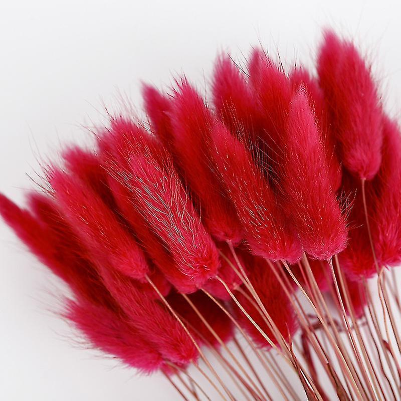 tørket pampas gress blomster dekorasjon