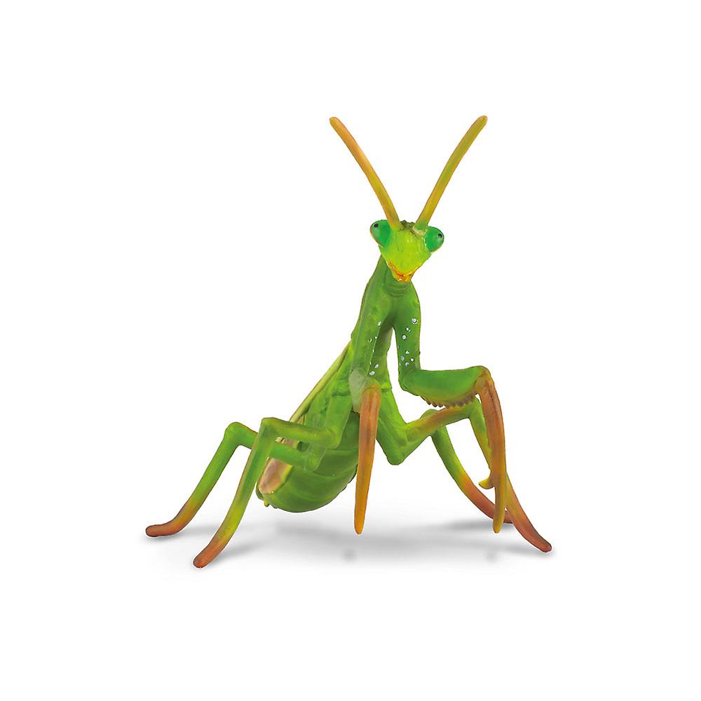 CollectA Realistic Animal Replica Praying Mantis Figure Large Ages 3+ and Up