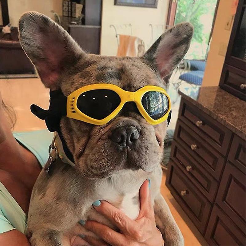 Pet Glasses Foldable Multi-color Sunglasses Decoration