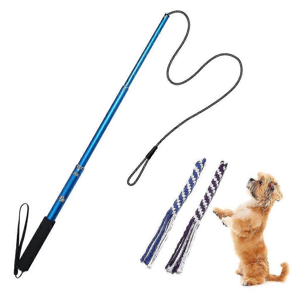 Extendable Pole Rope Tug Dog Toy, Outdoor Interactive Toy, Funny