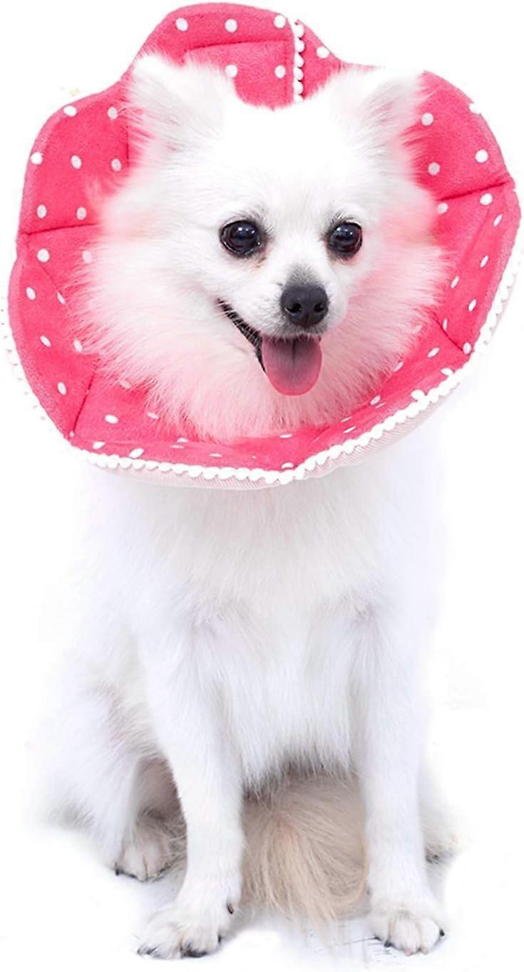 djustable Dog Cat Cone,Soft Recovery Cat Cone Collar,Dog Protective Collar for Cats,Puppy and Small Dogs,Pink,Medium