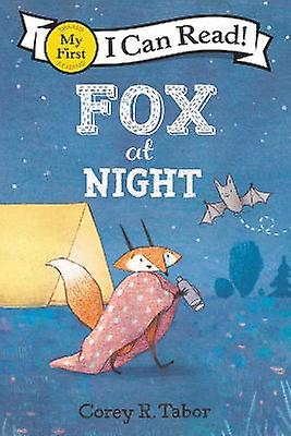 Fox at Night