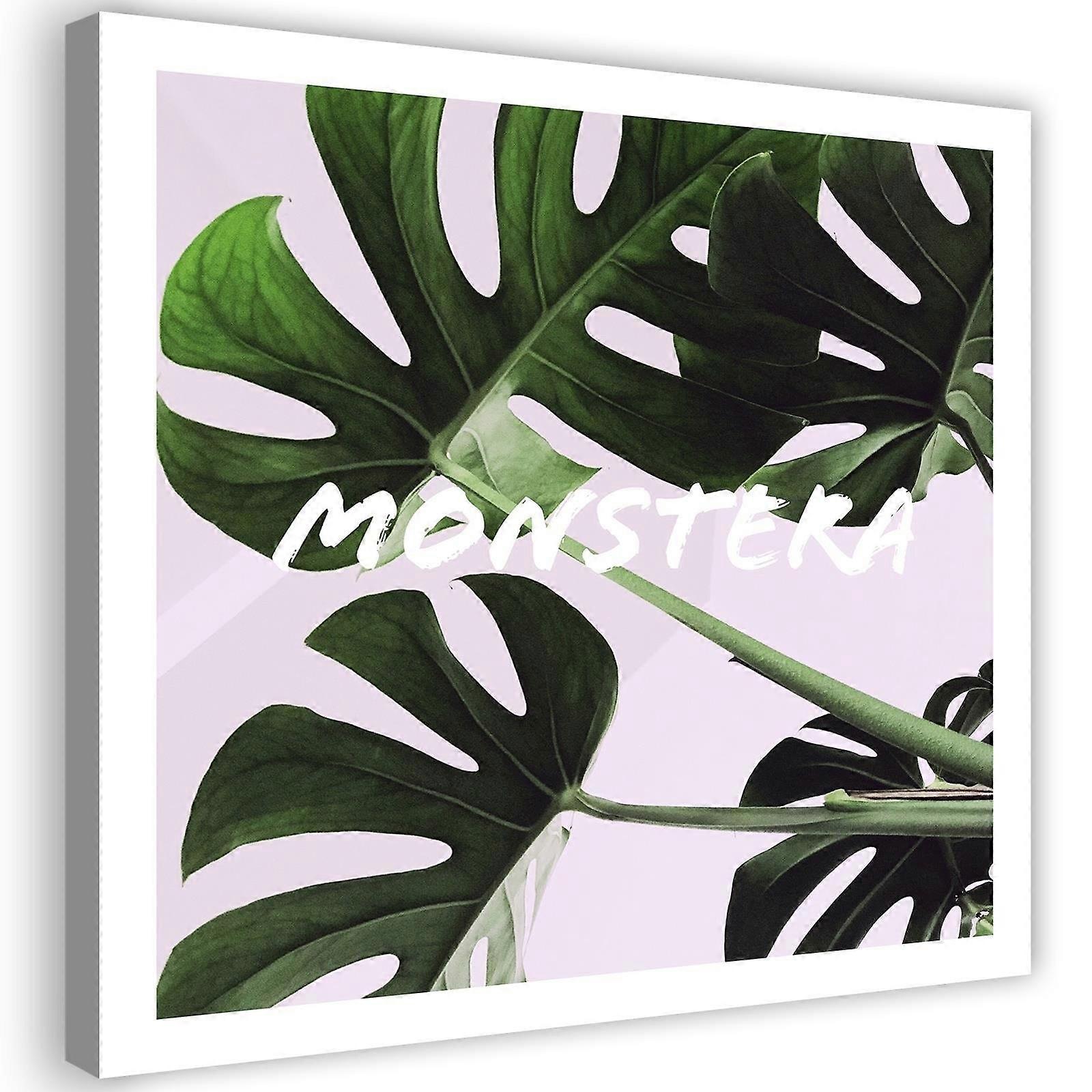 Lienzo, Hojas exóticas de Monstera - 40x40