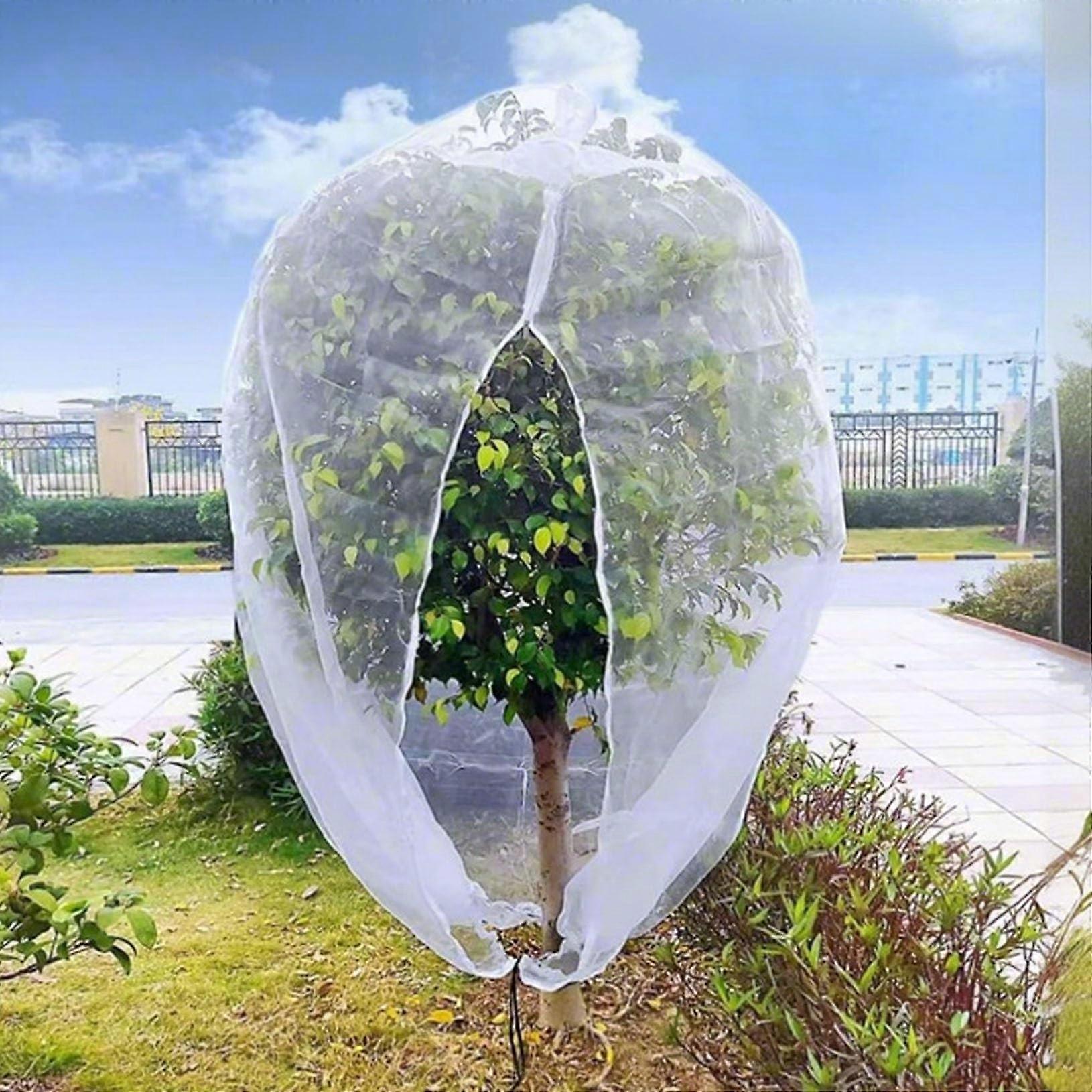 Plant Protection Net 2-Pack - Ultra-Fine Mesh For Fruit Trees, Shrubs, And Tomatoes, Reusable 300x300 cm