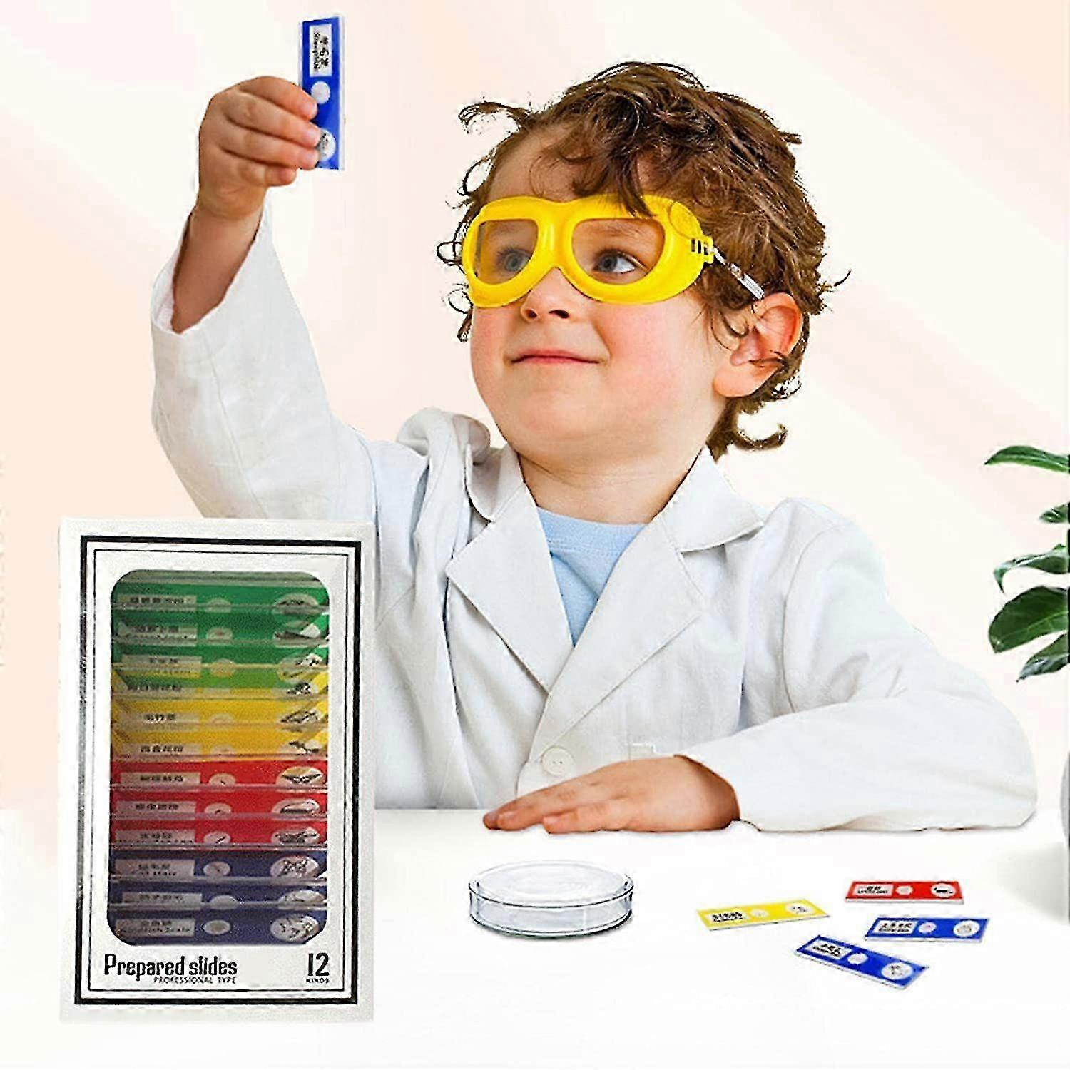 2025 Microscope de poche, Mini microscope électrique avec lumière LED, microscope portable haute définition pour enfants étudiants