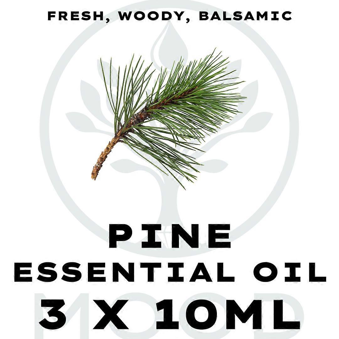 Pine Essential Oil 3 X 10ml Multipack