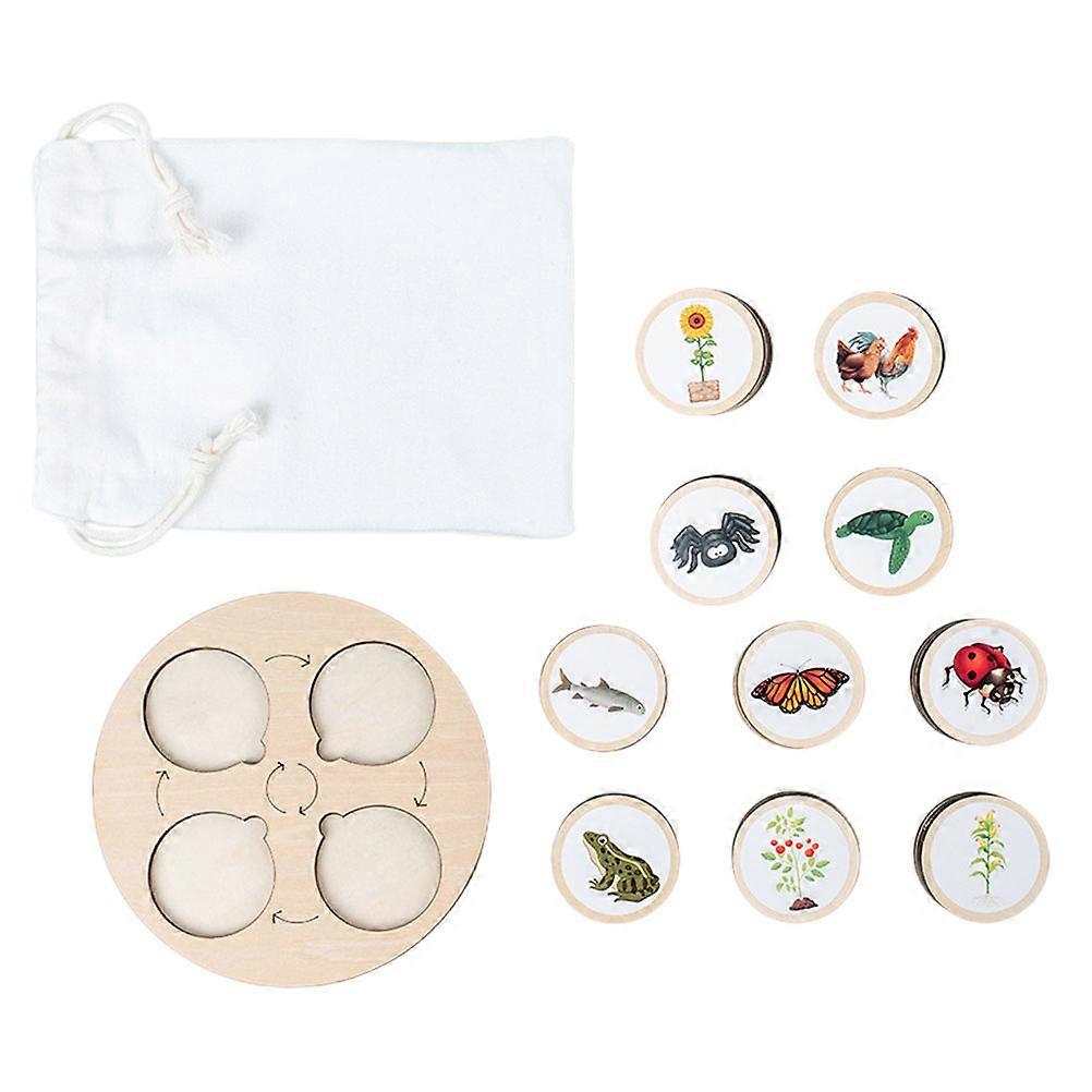 Creating an **Educational Cycle Model of Cognitive Development** tailored for an **Interactive Parent Learning Tool**—especially for **birthdays and