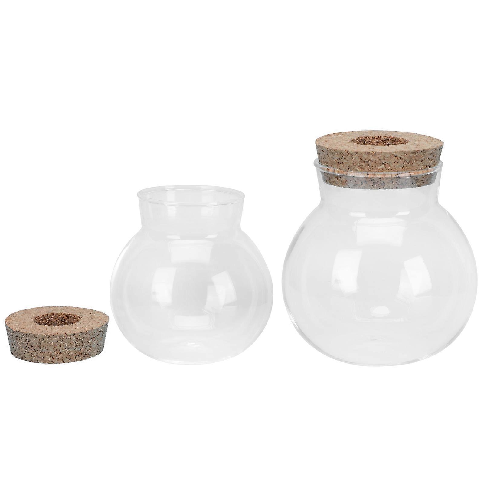 Bouquet Vase Technology High Borosilicate Gift 2Pcs