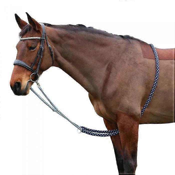 Hy hest longering hjelp