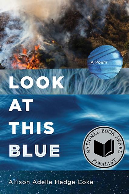 Look At This Blue by Allison Adelle Hedge Coke Paperback